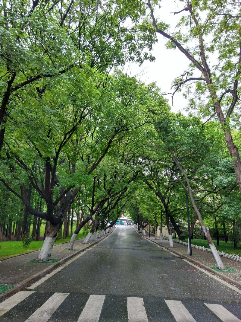 稍往前走,与紫荆关路交叉的是喜峪关路.