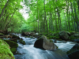 大烟山国家公园