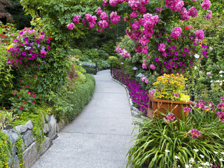 玫瑰花园步道