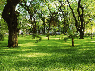 圣马丁将军公园