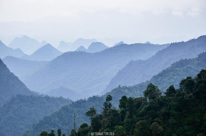 登南岭,不辞长作岭南人--碧桂园五星之旅