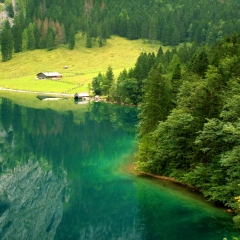 Fischunkelalm
