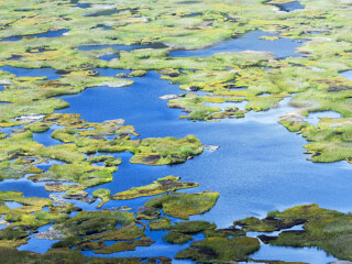 拉诺卡乌火山湖