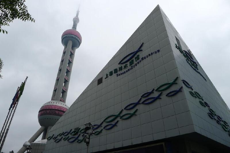 增加科普常识上海海洋水族馆半日游