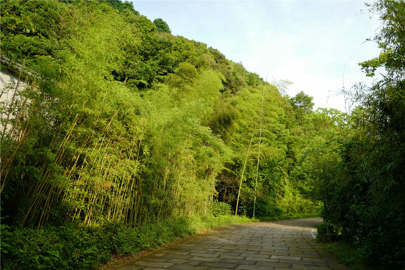 富春江畔富陽行_杭州富陽黃公望隱居地遊記_途牛