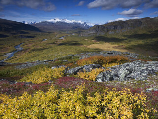萨勒克国家公园