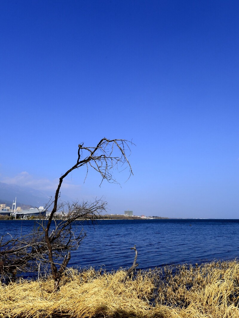 洱海——阳光碎落成一面湖