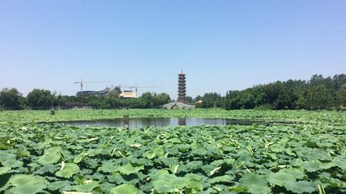 【2018】潛江市旅遊攻略_潛江市自助遊攻略_潛江市出遊行程遊記-途牛