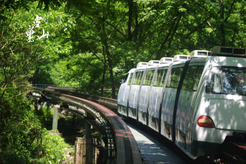 【宁波人游宁波系列一】溪口雪窦山,青山绿水环抱的世界!