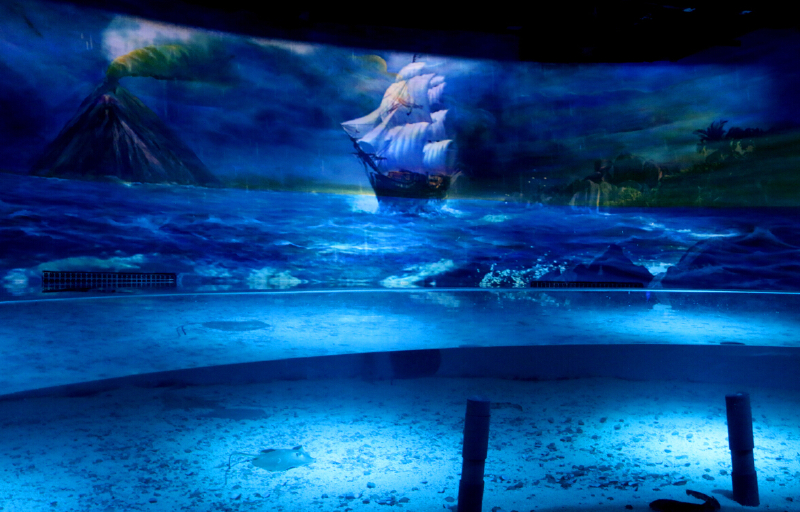 正佳极地海洋世界