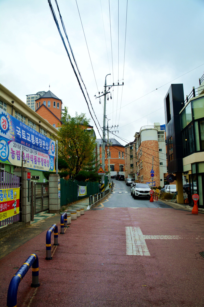 【濟州島旅遊攻略】pansy in jeju---記美麗濟州之行