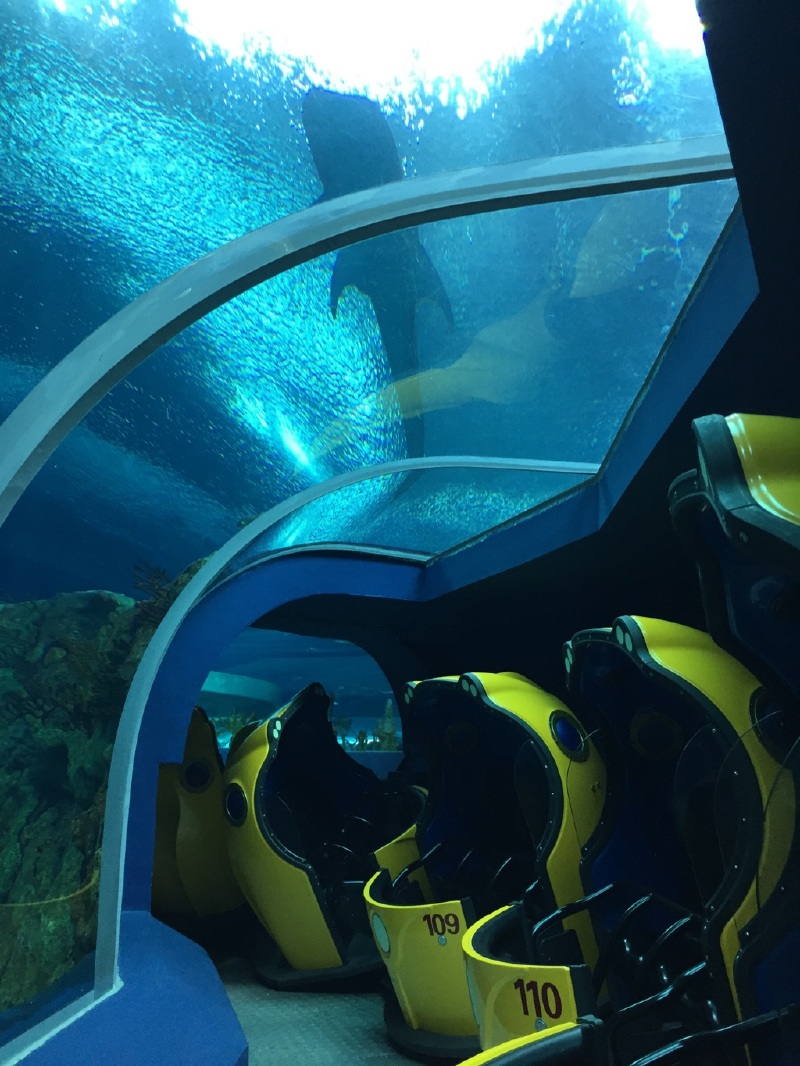 优宝一家的珠海长隆海洋王国三天两晚