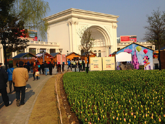 大宁小城的郁金香,花蕾开放不一,一片绿中一点红.