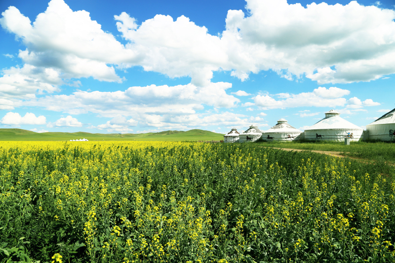 锡林郭勒盟草原农牧风情园游记