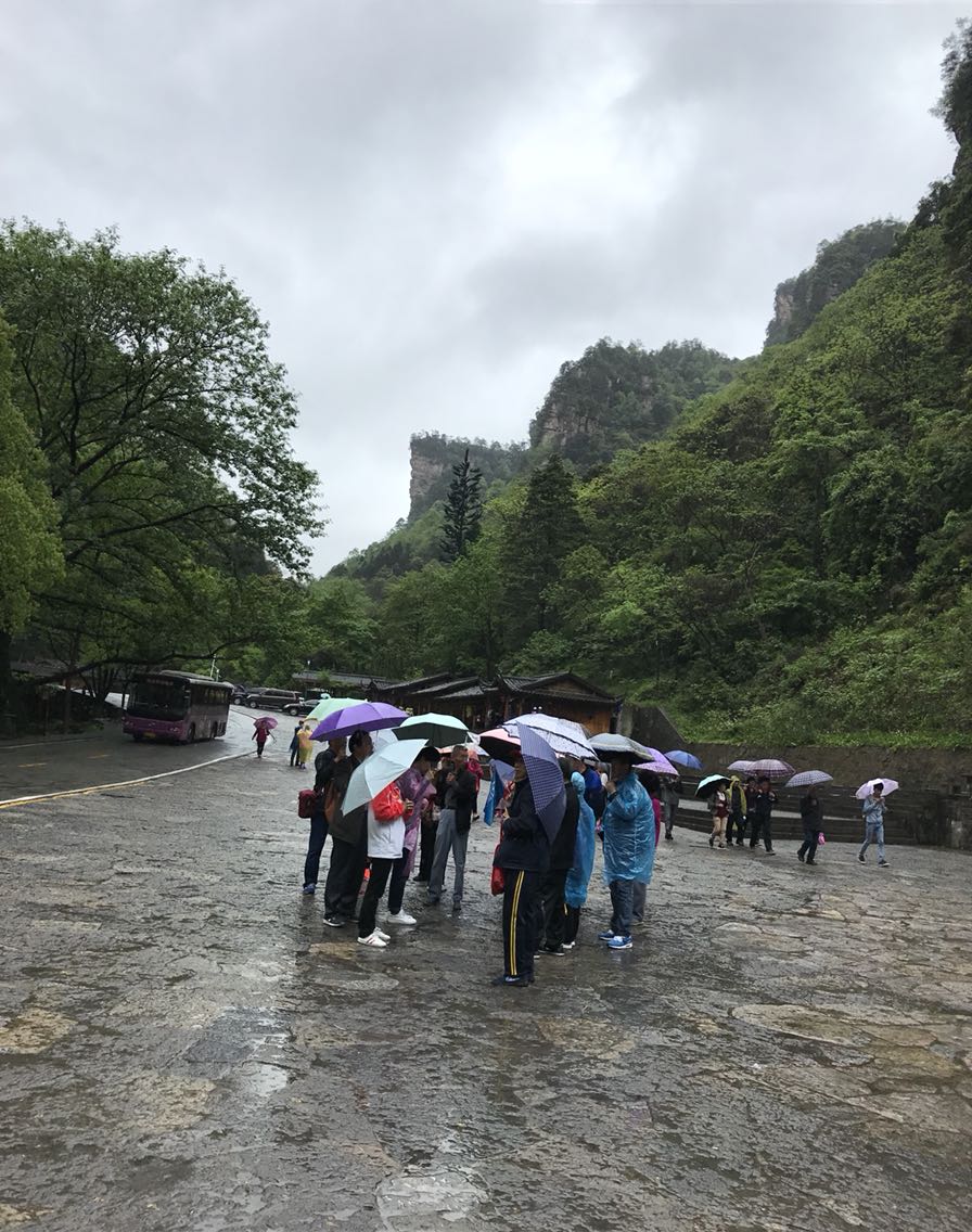 下雨還可以去張家界嗎_張家界旅遊問答_途牛