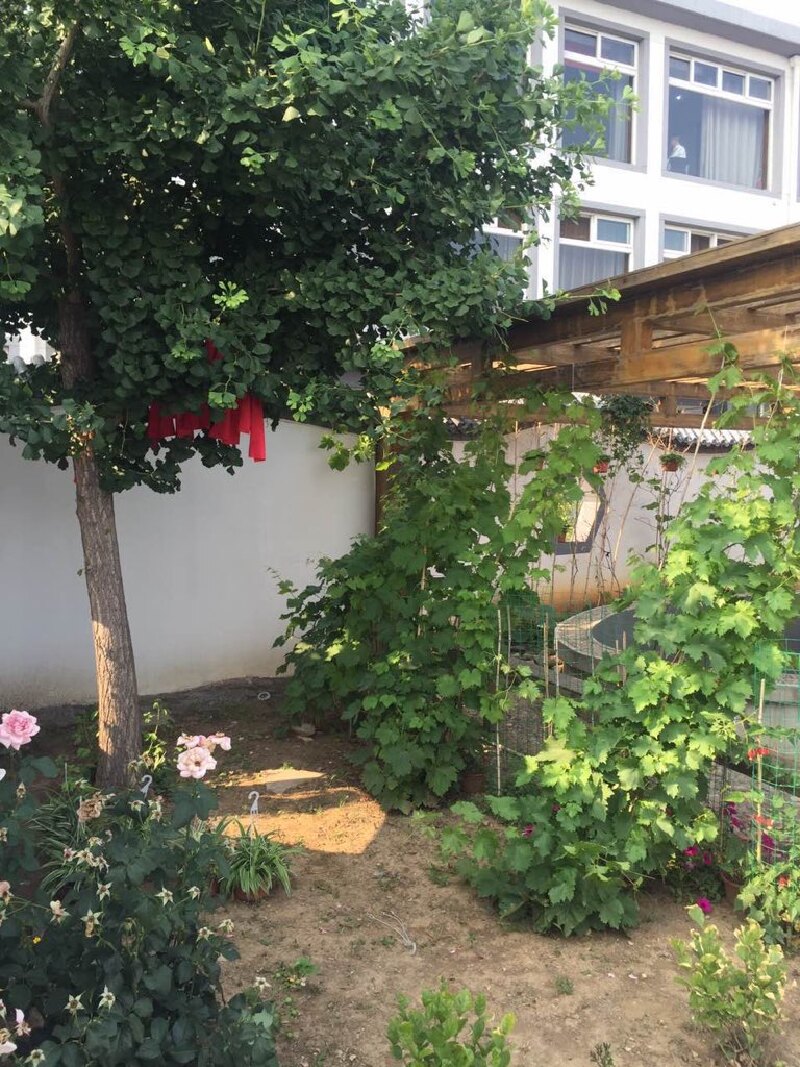 天津蓟县劲松园景区,卧佛山庄!