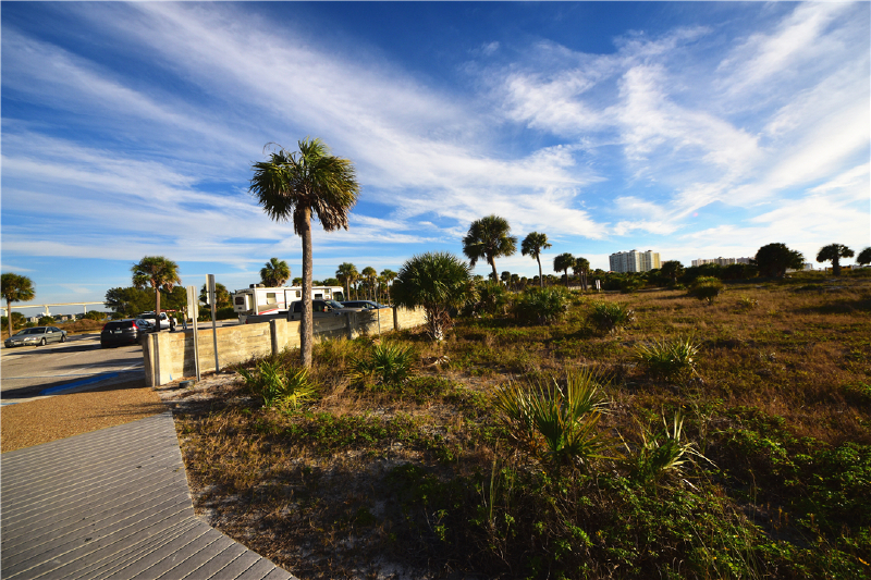 传说中的全美最美白沙滩——没错,在坦帕