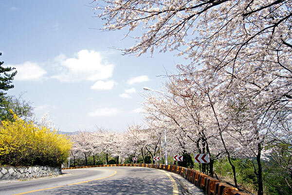 箱根姥子自然步道地址_姥子自然步道在哪里_姥子自然步道怎么去
