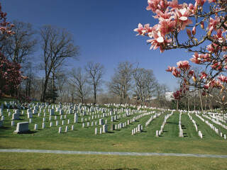 阿灵顿国家公墓