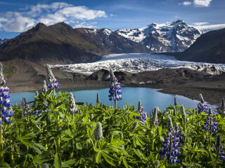 瓦特纳冰川国家公园