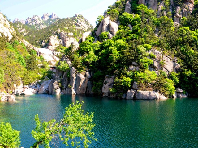  青岛崂山仰口-华严寺-八水河-龙潭瀑-流清湾沙滩1日游>无购物,上门