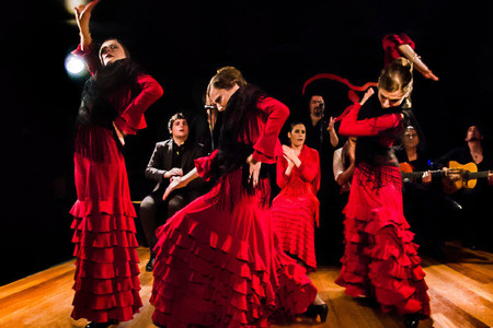 葡萄牙舞者dance图片