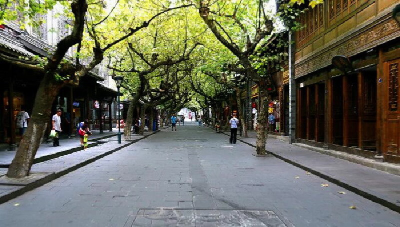     古城区街道上林荫遮日,炎炎