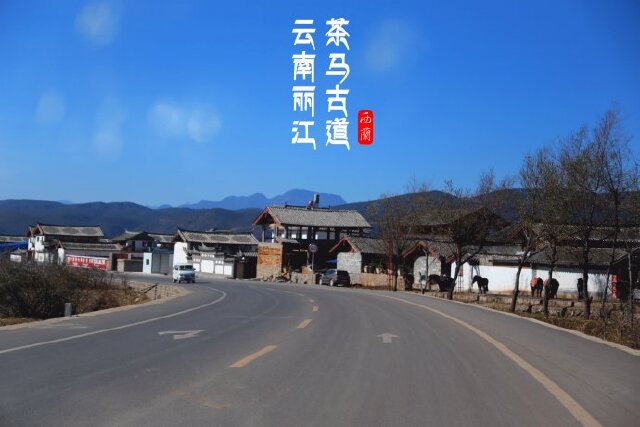 【云南丽江】拉市海重走千年茶马古道 体验马帮生活