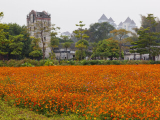 观澜版画村