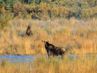达特姆尔国家公园