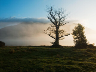 新福里斯特国家公园