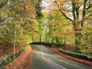 北约克高沼区国家公园