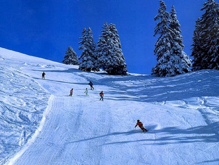玉泉滑雪场在哪里图片