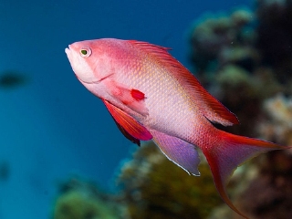 水上星球水族馆