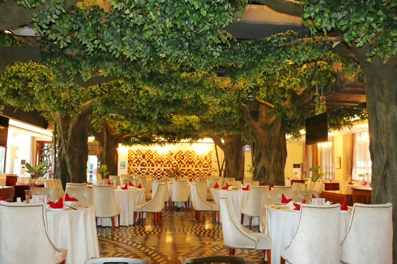 餐厅里别致少见的大树装饰