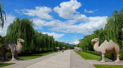 【神路】—(门票已含)(60分钟)走过大宫门