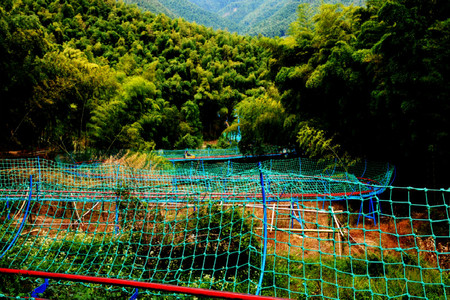 寧波甬邦菜 賞秋山水 (10月起四明山升級為東錢湖小普陀,浙東大竹海)