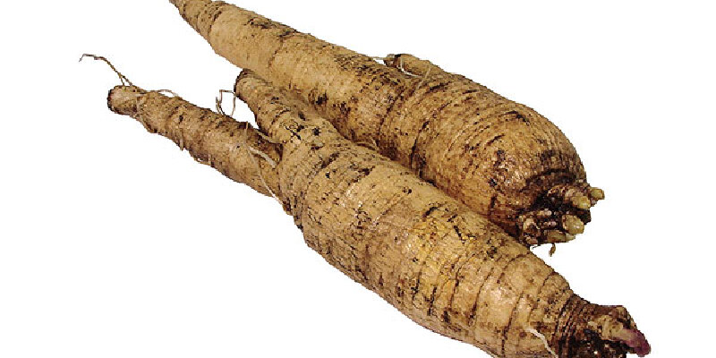 分享到推荐理由181人推荐于田红柳大芸是新疆和田地区于田县的特产