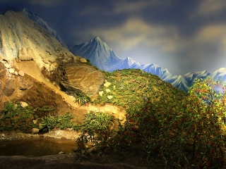 中华枸杞养生苑