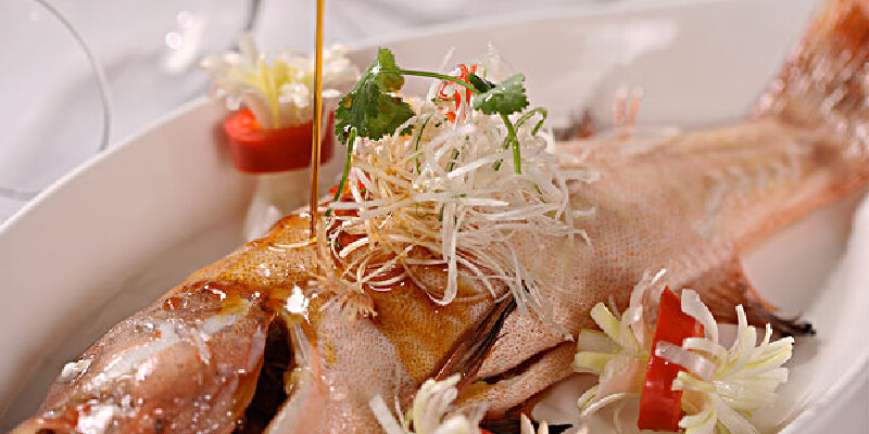 洪泽湖桂鱼价格_专卖店_哪里买