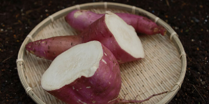 分享到推荐理由272人推荐衡山早白薯是湖南省衡阳市衡山县的特产.