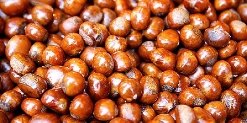 分享到推荐理由182人推荐京山板栗是湖北省荆门市京山县的特产.