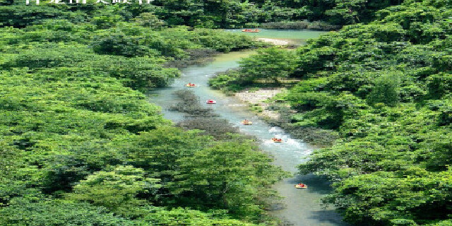 【景区快线】 德天瀑布--古龙山峡谷漂流半日游>(德天出发 赠旅游险)