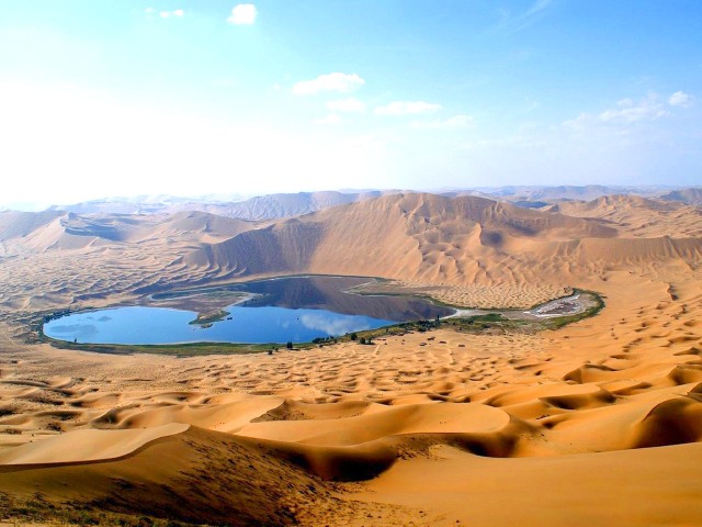 怪树林日落,达镇第4天达来呼布镇,达来呼布镇第5天额济纳旗,居延海