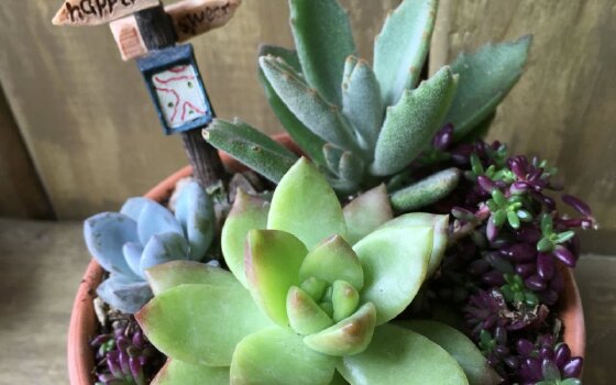 花莲达芙妮花园民宿 Casa De Dafne B Amp B Hualien 电话地址 花莲达芙妮花园民宿 Casa De Dafne B Amp B Hualien 官网预订价格 途牛