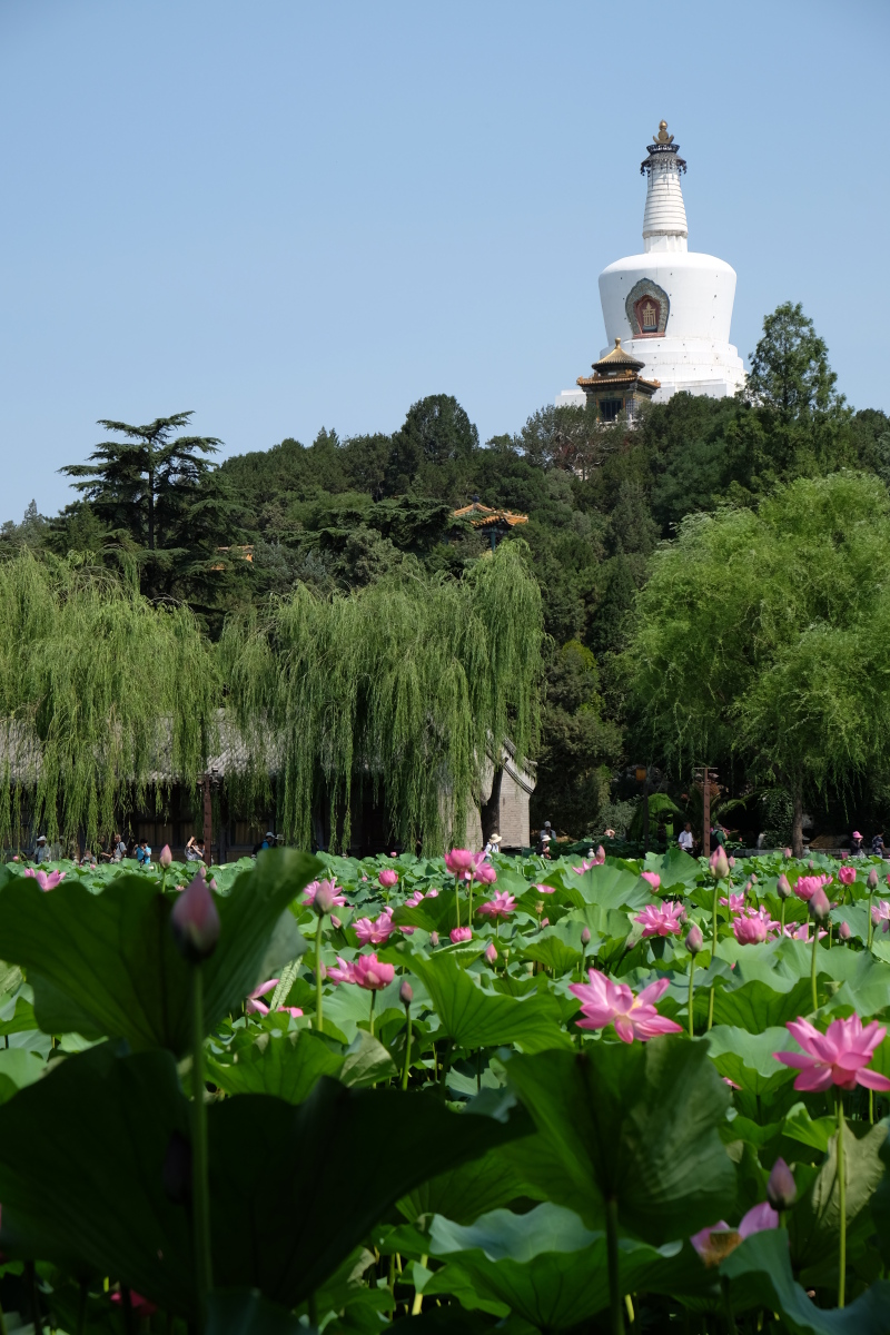北京夏日这个周末行摄京城