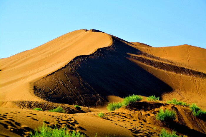 在库姆塔格沙漠中主要分布复合型沙垄,新月型沙垄,线性沙垄,有格状