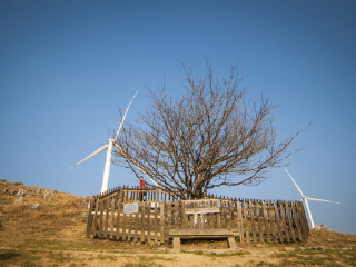 百里荒高山草原旅游区