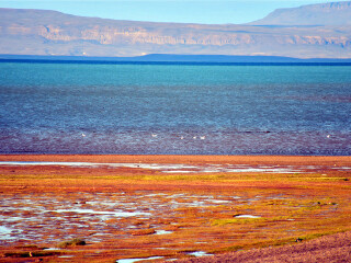 尼美兹湖生态保护区