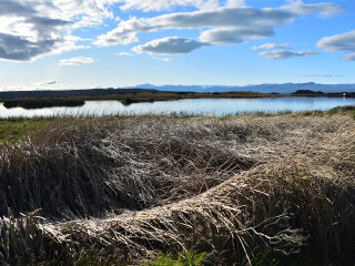 尼美兹湖生态保护区